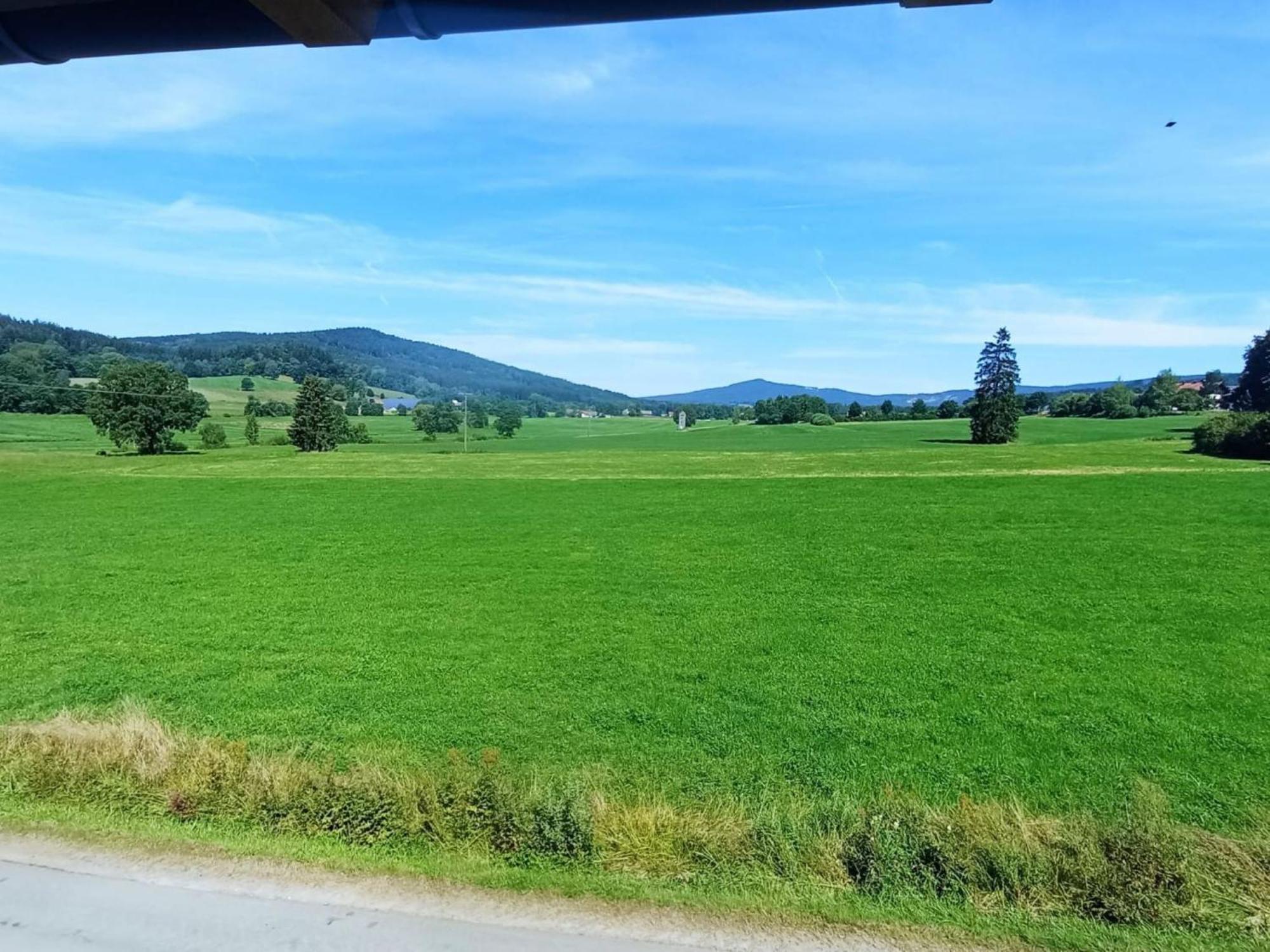 Fewo Wiesenblick วัลด์มึนเคน ภายนอก รูปภาพ